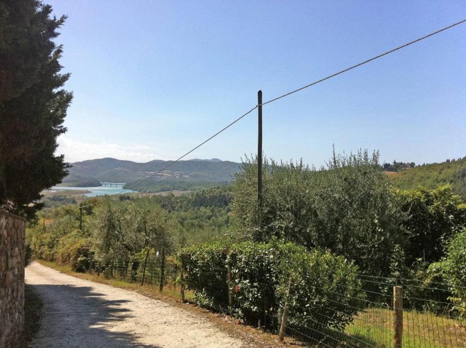 Agriturismo Il Palazzaccio Villa Galliano Dış mekan fotoğraf