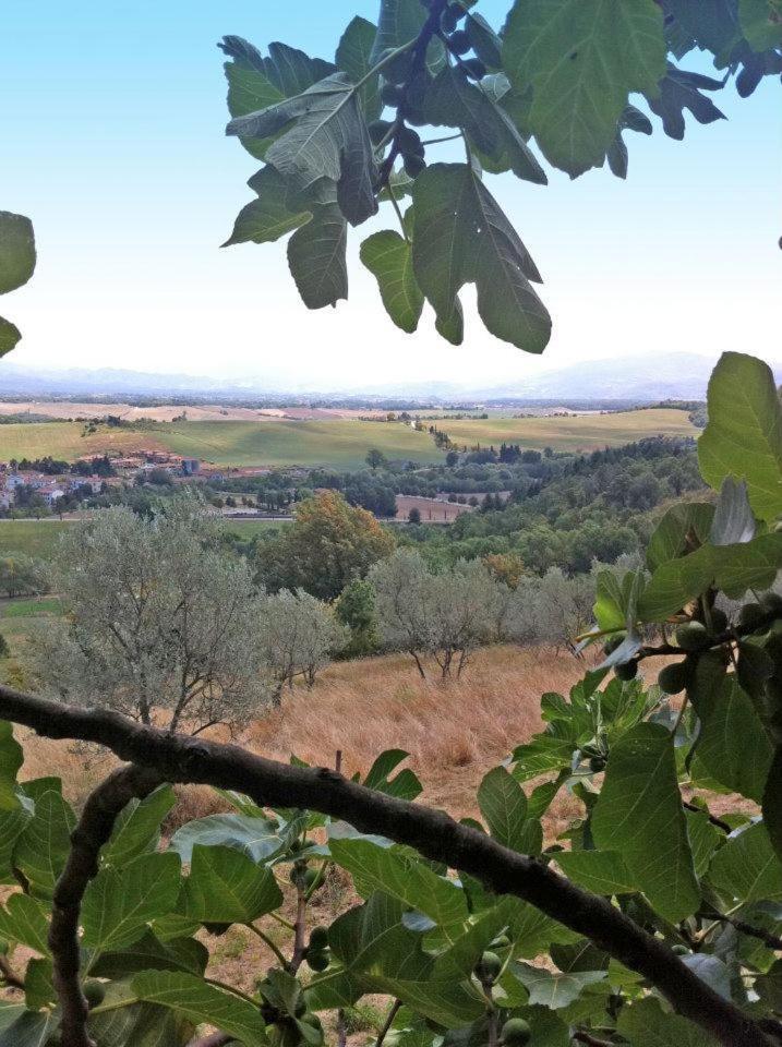 Agriturismo Il Palazzaccio Villa Galliano Dış mekan fotoğraf
