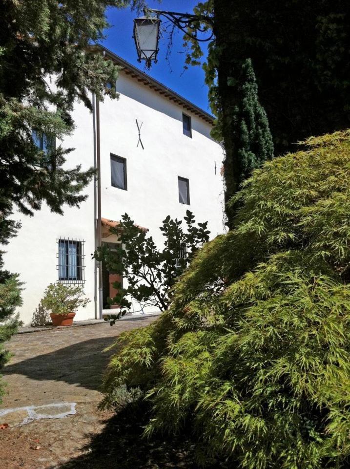 Agriturismo Il Palazzaccio Villa Galliano Dış mekan fotoğraf