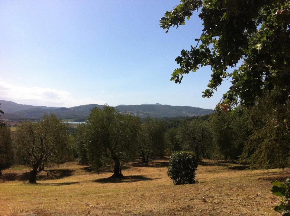 Agriturismo Il Palazzaccio Villa Galliano Dış mekan fotoğraf